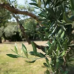 La Molara