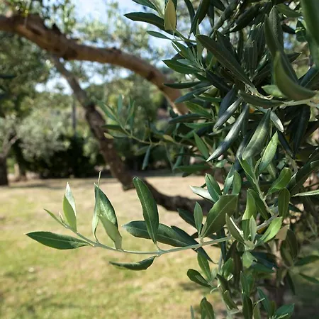 La Molara