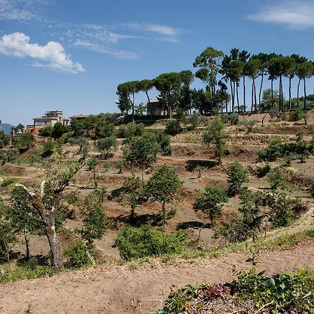 La Molara Estadia no rancho Sessa Aurunca