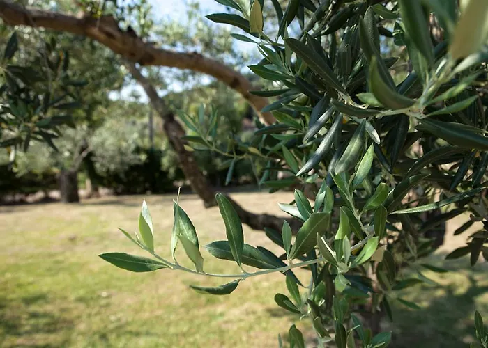 La Molara